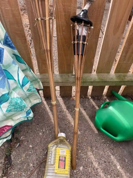 Photo of free Varnish and oil lamp and oul (Earlham NR4) #1