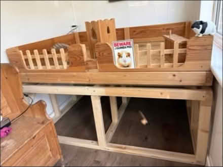 Photo of free Indoor Guinea pig home (ME15 Plains avenue) #2