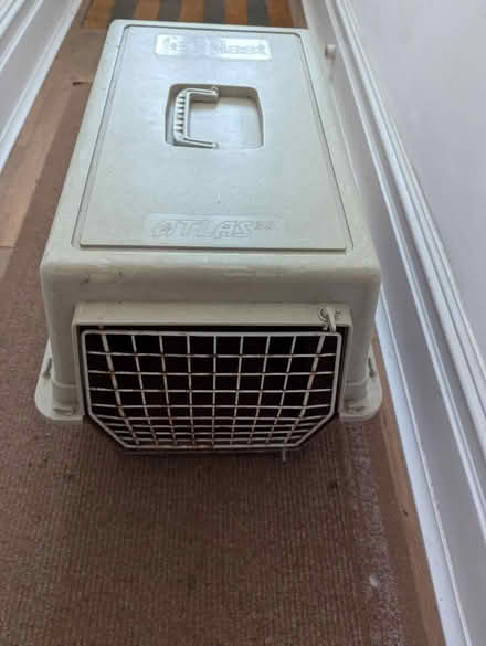 Photo of free pet carriers (PO4) #1
