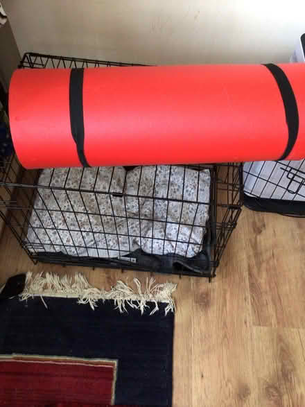 Photo of free Red bed roll exercise mat (Wellington TA21) #2