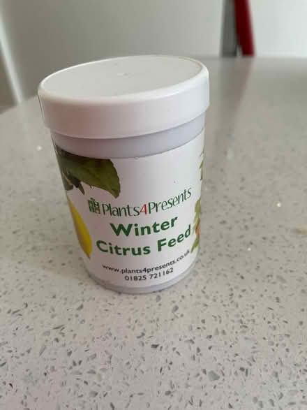 Photo of free Winter Citrus Feed (Chiswick) #1