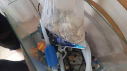 Photo of free Fish Tank (Cann Hall E11) #4