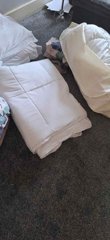 Photo of free Two double duvets (feather) and one mattress topper (Lion Gate TW9) #1