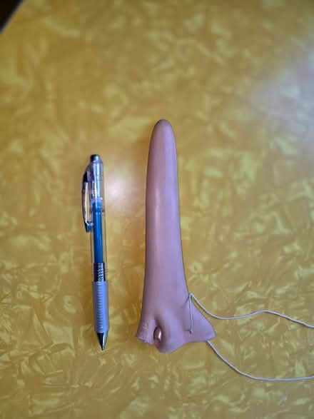 Photo of free long rubber nose (Maple Leaf / Northgate) #1