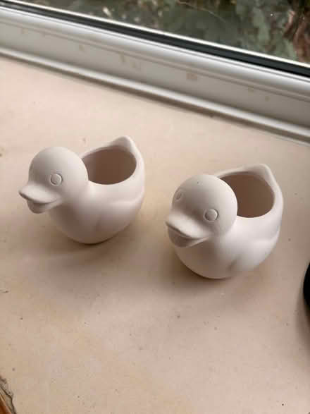 Photo of free Ducks to be painted (Turnford EN10) #1