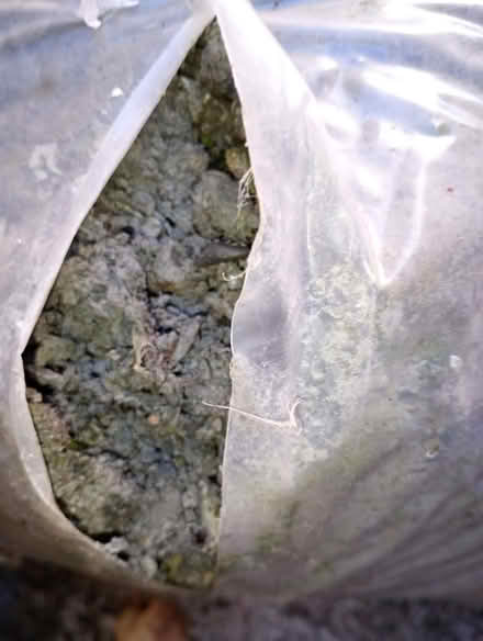 Photo of free 1Bag of scalpings (Presteigne LD8) #2