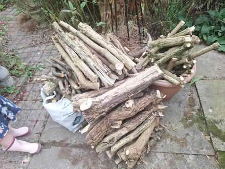 Photo of free Fire wood (Forestgreen GL6) #1