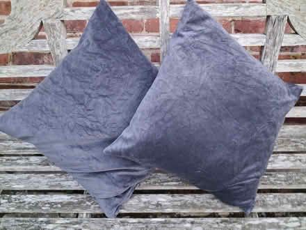 Photo of free Cushions (Wimborne,Colehill) #1