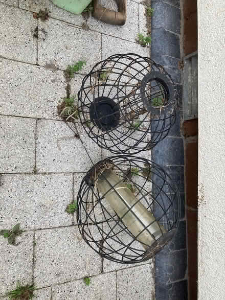Photo of free Wire sphere cage bird feeders (Dunfermline KY11) #1