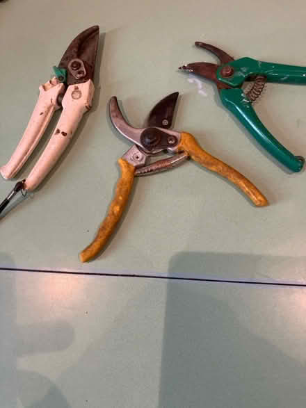 Photo of free Three pairs of secateurs (Beauchief S8) #1