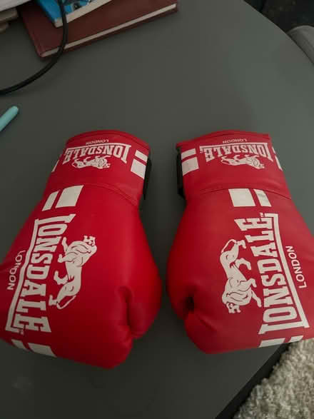Photo of free Kids boxing gloves (Bilton, CV22) #1