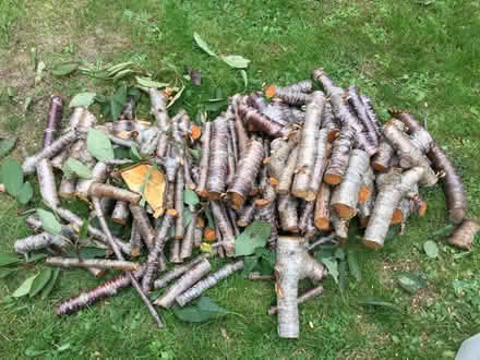 Photo of free Cherry Tree branches chopped into logs (Sandown PO36) #2