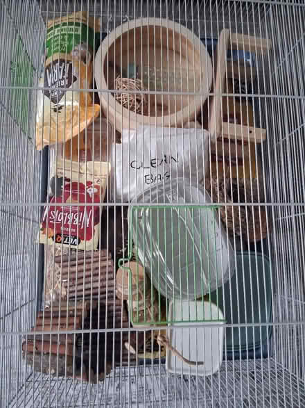Photo of free Full Hamster set up (Stourbridge DY8) #2
