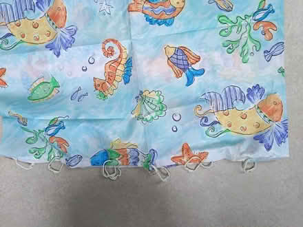 Photo of free Shower curtain with hoops (Widcombe, Bath BA2) #3