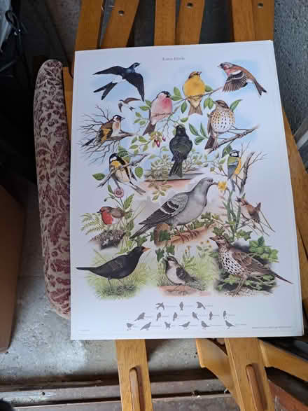 Photo of free Various posters/prints (Turnford EN8) #1
