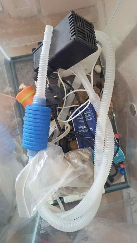 Photo of free Fish Tank (Cann Hall E11) #2
