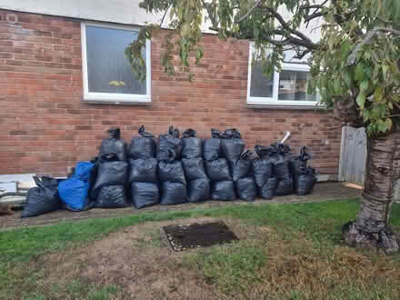 Photo of free 40 Bags Topsoil (Ashford TN24) #2