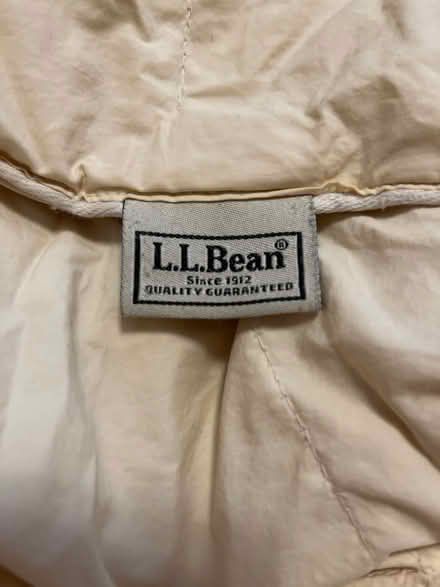 Photo of free Down Comforter, leaking (Medford-Fulton Heights) #1