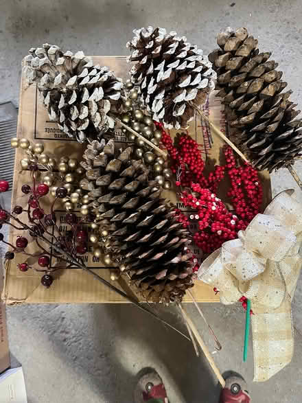 Photo of free Christmas decor decorations (Kanata Lakes/Beaverbrook) #1