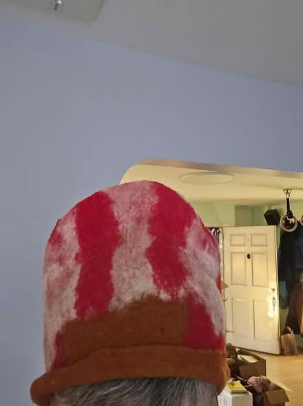 Photo of free felted wool hats (Maple Leaf / Northgate) #2