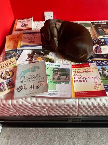 Photo of free Horse books. BHS , equine science (Haywards Heath RH16) #3