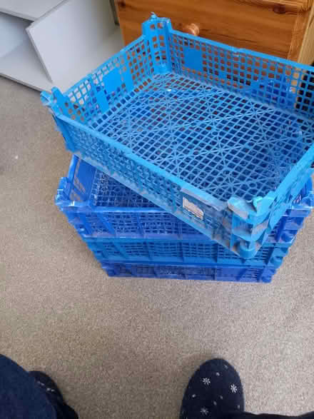 Photo of free Plastic storage baskets four in total (Normanton DE23) #1