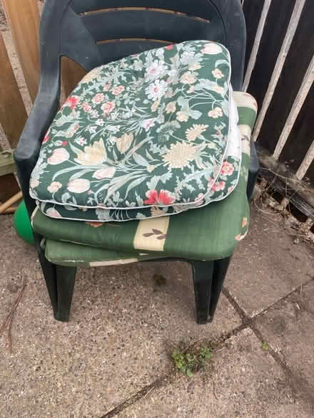 Photo of free Summer chair and cushions (Earlham NR4) #1