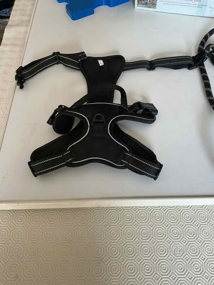 Photo of free Pet harness and lead (Spondon DE21) #1