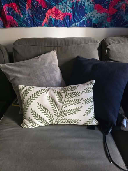 Photo of free 3 cushions (Custom House E16) #1