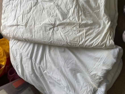 Photo of free Two single duvets (Fareham central PO16) #1