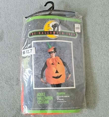 Photo of free Halloween pumpkin costume, age 13 - adult (Elmstead BR7) #2