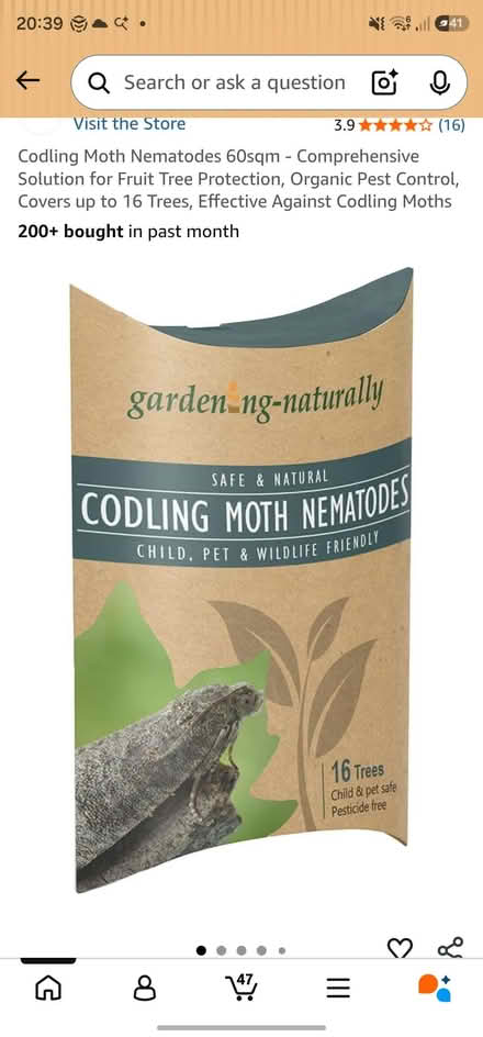 Photo of free Nematode for apple tree moths (Bromham MK43) #1
