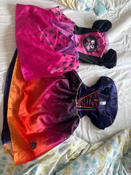 Photo of free Halloween dresses (Alnwickhill EH16) #1