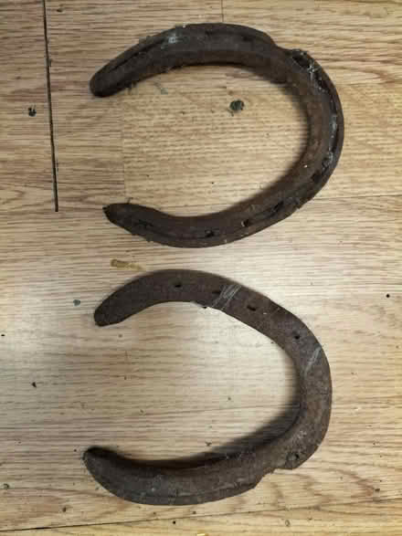 Photo of free Horseshoes (Stone Cross BN24) #1