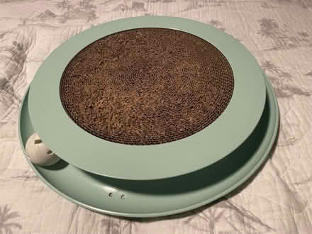 Photo of free Cat toy (Riverdale) #1