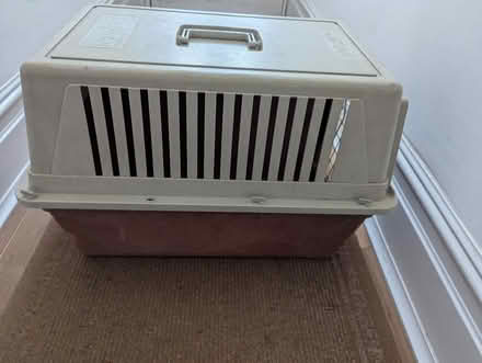 Photo of free pet carriers (PO4) #4