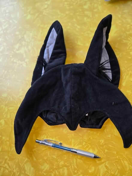 Photo of free Bat Hat (Maple Leaf / Northgate) #1