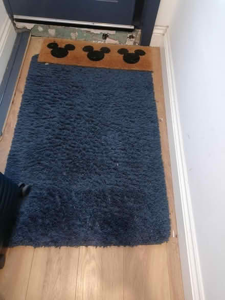 Photo of free Blue hallway mat (Knockhall DA9) #2