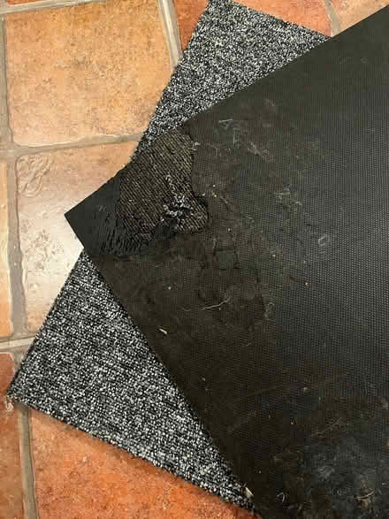 Photo of free Carpet tiles (Bishop's Castle SY9) #2
