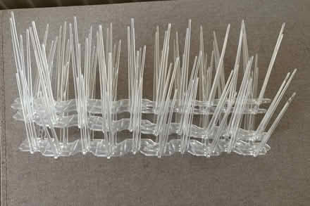 Photo of free Anti bird spikes (Chorleywood WD3) #1