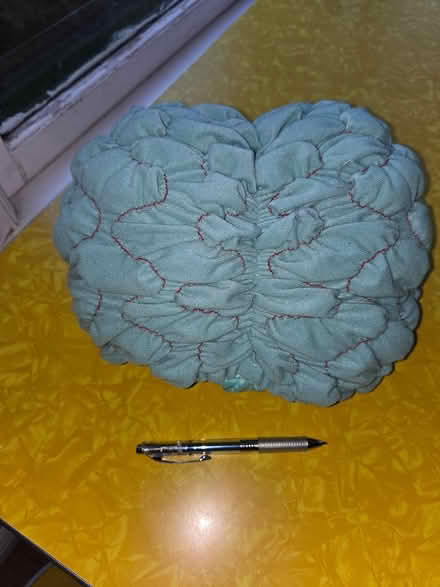 Photo of free Brain Hat - Halloween (Maple Leaf / Northgate) #1