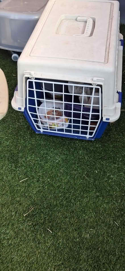 Photo of free Pet carrier (Hayes end) #2