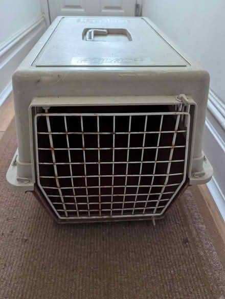Photo of free pet carriers (PO4) #2