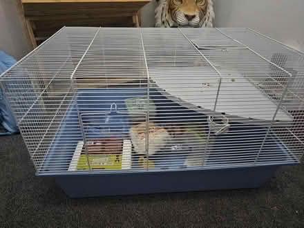 Photo of free Hamster cage (Devizes SN105SA) #2