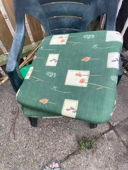 Photo of free Summer chair and cushions (Earlham NR4) #3