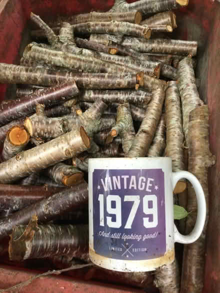Photo of free Cherry Tree branches chopped into logs (Sandown PO36) #1