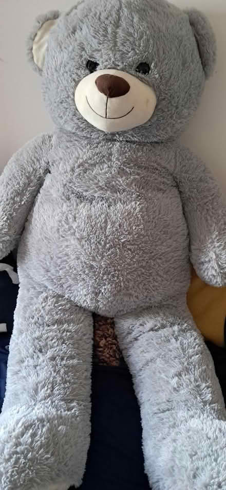 Photo of free Teddy bear (Hayes end) #1