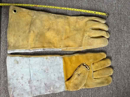 Photo of free Falconer Gloves (Medford-Fulton Heights) #1