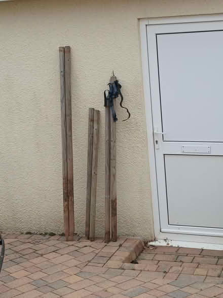 Photo of free tree stakes +ties (Sidmouth EX10) #1