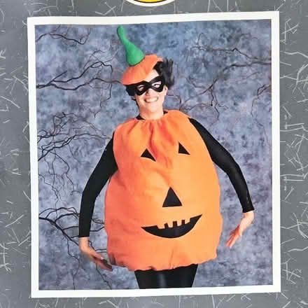 Photo of free Halloween pumpkin costume, age 13 - adult (Elmstead BR7) #1